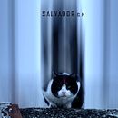Gato Visión . Un projet de Photographie , et Photomontage de Edward Glez - 13.02.2021