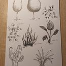 My project in Drawing for Beginners Level -1 course. Un proyecto de Ilustración tradicional de Alina Kramarenko - 13.02.2021
