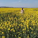 Abstract flowers . Pictură în acuarelă de Maria Veronica Escobar - 02.14.2021