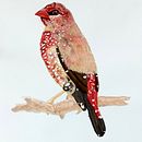 Mi Proyecto del curso: Técnicas experimentales de acuarela para principiantes  Ein Projekt aus dem Bereich Traditionelle Illustration, Bildende Künste, Aquarellmalerei und Naturalistische Illustration von Sergio Alonso Rangel - 18.04.2021