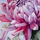 Principais trabalhos em aquarela. Pintura em aquarela projeto de Rafaela Loureiro - 15.02.2021