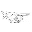 Wisconsin Aquatic Wildlife. Lettering, and Traditional illustration project by Ray - 02.16.2021