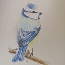 Colour pencil. Een project van  Artistieke tekening y Tekening met potlood van April Bray - 17.02.2021