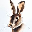 My project in Experimental Watercolor Techniques for Beginners course. Un proyecto de Pintura a la acuarela de Nicole Pratt - 19.02.2021