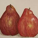My project in Illustrating Nature: Illustrating Pears. Traditional illustration project by Kate Malinowski - 02.19.2021