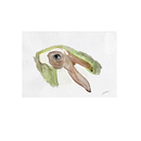 Sjelden. Un projet de Aquarelle de Mercedes Rasero - 11.10.2017