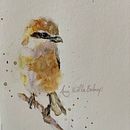 My project in Artistic Watercolor Techniques for Illustrating Birds course. Projekt z dziedziny Malowanie akwarelą użytkownika Amy Be;nap - 23.02.2021