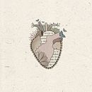 WHO IS PATRI RAY?. Projekt z dziedziny R, sunek c, frow, Trad, c, jna ilustracja, Ilustracja c, frowa i Portale społecznościowe użytkownika patri_ray - 23.02.2021