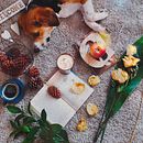 Mi Proyecto del curso: Fotografía y vídeo profesional con tu móvil. Projekt z dziedziny  Kolaż, Kreat, wność, DIY, Fotografia, Fotografowanie smartfonem i Fotografia portretowa użytkownika Stefania Molina Ospina - 10.03.2021