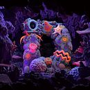 ACER . Un proyecto de Animación 3D de Thomas Burden - 26.02.2021