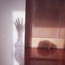 Postais para mim mesma Ein Projekt aus dem Bereich Fotografisches Selbstporträt, Kreativität, Fotografie und Analogfotografie von Gabriela Vasconcellos - 26.02.2021