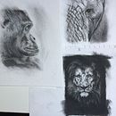 3 animal charcoal drawings . Desen de jaynek_wilson - 02.27.2021
