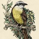 Tinta & Aves . Fine Arts, Sketching, Traditional illustration, Botanical Illustration, Ink Illustration, and Naturalistic Illustration project by Ricardo Macía Lalinde - 02.28.2021