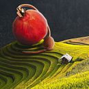 Pomegranate Fragrance. Un projet de Postproduction photographique, Retouche photographique, Photographie numérique, Composition photographique, Photomontage, Design , Design graphique, Créativité , et Conception numérique de danielampg98 - 28.02.2021