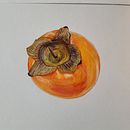 My first watercolor fruit. . Ilustrasi Botani proyek oleh maryna0506 - 02.28.2021