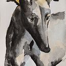 Greyhound. Projekt z dziedziny Malowanie akwarelą użytkownika aleksandra_mz - 01.03.2021