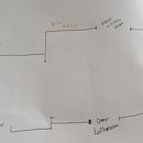 My project in Interior Design for Beginners course - This is a very simple sketch of a small apartment. I started with the halls (a small one and a bigger one for an office since a lot of people are working from home now. . Desain Interior proyek oleh Loi Loiola - 10.02.2021