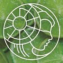 Pequeño estudio del logo Candelis  Ein Projekt aus dem Bereich Br, ing und Identität, Design, Logodesign und Grafikdesign von Carmen Frutos Mayo - 04.03.2021