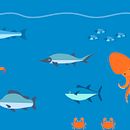 Motion Graphics para DISMAR | Distribuidora de mariscos-Ecuador. Un proyecto de Animación 2D, Animación de personajes y Motion Graphics de Mateo Ruales Flores - 03.03.2021