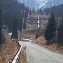 Ethnos  . animasi 2D proyek oleh Saule Alenova - 03.03.2021