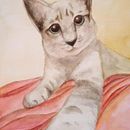 Meu projeto do curso: Técnicas experimentais de aquarela para principiantes . Projekt z dziedziny  Sztuki piękne użytkownika Eliane Guimarães do Carmo - 18.03.2021