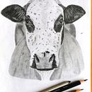 Nguni cow in graphite. Projekt z dziedziny  R, sunek, Trad, c, jna ilustracja, R i sunek ołówkiem użytkownika Claudia Risch - 05.03.2021