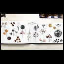 My project in Illustration Techniques to Unlock your Creativity course . % Leona tarafından hazırlanan Botanik İllüstras, on, Çocuk İllüstras, onu, Geleneksel illüstras, on, Eskiz çizimi, Sulubo, Ve a Resim projesi - 03.05.2021