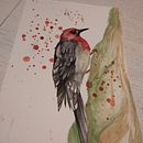 Mi Pajarito. Projekt z dziedziny To, art,  R, sunek art, st i czn użytkownika Mariela Vazquez Kannemann - 06.03.2021
