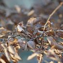 Shattered self . Een project van  Creativiteit van nina_meyer98 - 06.03.2021
