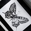 CalligraphyButterfly Ein Projekt aus dem Bereich Kalligrafie, Kreativität, Digitales Design, Digitale Zeichnung, Digitale Illustration, Digitales Lettering, Sketchbook, Skizzenentwurf und Tattoodesign von Alex Graf - 08.03.2021