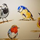 My project in Artistic Watercolor Techniques for Illustrating Birds course. Un progetto di Pittura ad acquerello di Anastasiia Slobodianiuk - 07.03.2021