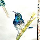 My project in Artistic Watercolor Techniques for Illustrating Birds course. Artistic Drawing, Creativit, and Watercolor Painting project by vivian_8 - 03.10.2021