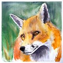 Watercolour animals. Projekt z dziedziny Malowanie akwarelą użytkownika Nadine Buntenbeck - 11.03.2021