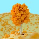 my final render/edit !. Un progetto di Modellazione 3D di caleb - 11.03.2021