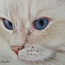 Lily. Un projet de Beaux Arts de María Otal Palacin - 12.03.2021