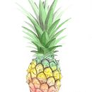 Meu projeto do curso: Ilustração botânica com aquarela. Botanical Illustration project by Jose Rosangelo Silva - 03.12.2021