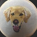 Tomate otro de mis perros. Een project van Borduurwerk van Diana Coy - 12.03.2021