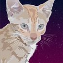 Retrato digital felino con fondo estrellado. Desenho digital projeto de kata_samar_02 - 12.03.2021