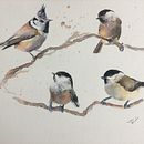 My project in Artistic Watercolor Techniques for Illustrating Birds course. Un proyecto de Ilustración tradicional y Pintura a la acuarela de rob eadie - 13.03.2021