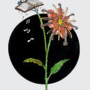 Violet. Botanical Illustration project by Mario van Miert - 02.18.2021