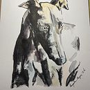 Galgo. Een project van Aquarelschilderen van Angela Reyes Perea - 13.03.2021