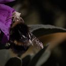 Mi proyecto fotografía de paisaje y naturaleza. Un proyecto de Fotografía para Instagram de Carlos Vallés - 14.03.2021