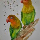 Mi Proyecto del curso: Acuarela artística para ilustración de aves . % Pamela Marambio tarafından hazırlanan Kalem Çizimi, Şekil Çizimi, Portre Çizimi, Mobil Fotoğrafçılık, Portre Fotoğrafçılığı, Sulubo, a Resim, Yağlıbo, a Resim, Guaj Bo, Ve ama projesi - 03.18.2021
