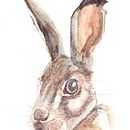 My project in Experimental Watercolor Techniques for Beginners course. Un proyecto de Dibujo a lápiz y Pintura a la acuarela de rolita - 17.04.2021