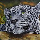 Yaguarete. Een project van  Acr, lschilderij, Realistische tekening y Schilderij van Maria Jimena Garcia Varona - 12.08.2016