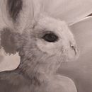 untitled. Projekt z dziedziny Malarstwo olejowe użytkownika Luisa Alexandra Calderon Gutierrez - 20.09.2020