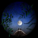 Stories from our garden. Un projet de Illustration jeunesse de Dominika Uhrincová - 18.08.2020