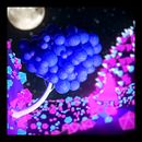 Mi Proyecto del curso: Animación 3D con Cinema 4D y Redshift Ein Projekt aus dem Bereich 3-D-Animation von alexander_morenier - 22.03.2021