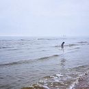 Paula Odysseus - Impresiones y realidades . % Paula Odysseus tarafından hazırlanan Fotoğrafçılık, Mobil Fotoğrafçılık & Instagram Fotoğrafçılığı projesi - 03.19.2021