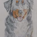 Animalario . Ilustração com tinta, Ilustração naturalista, e Pintura em aquarela projeto de Zinahi Montes de Oca - 19.03.2021